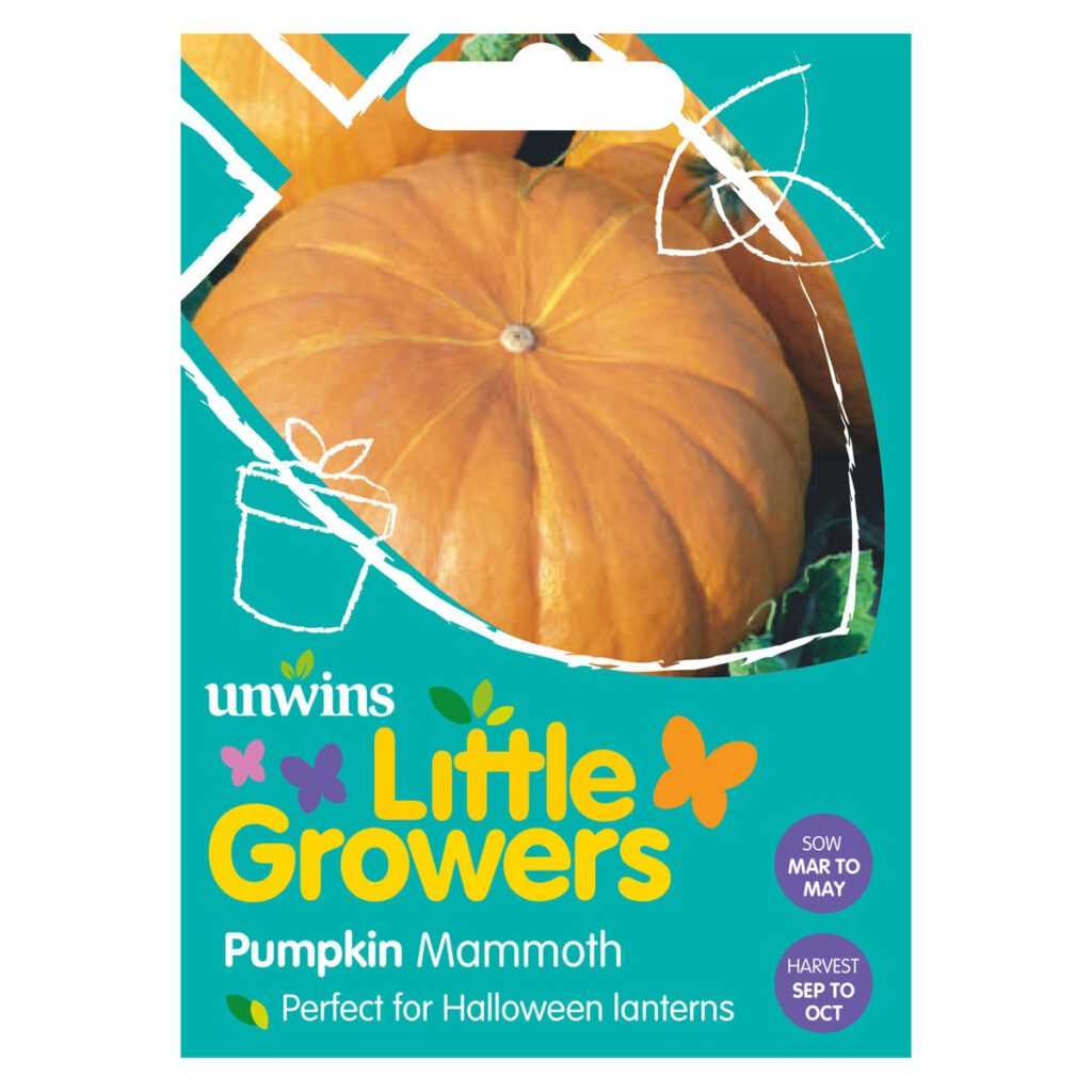Unwins Pumpkin Mammoth Seeds 5051618011341 2
